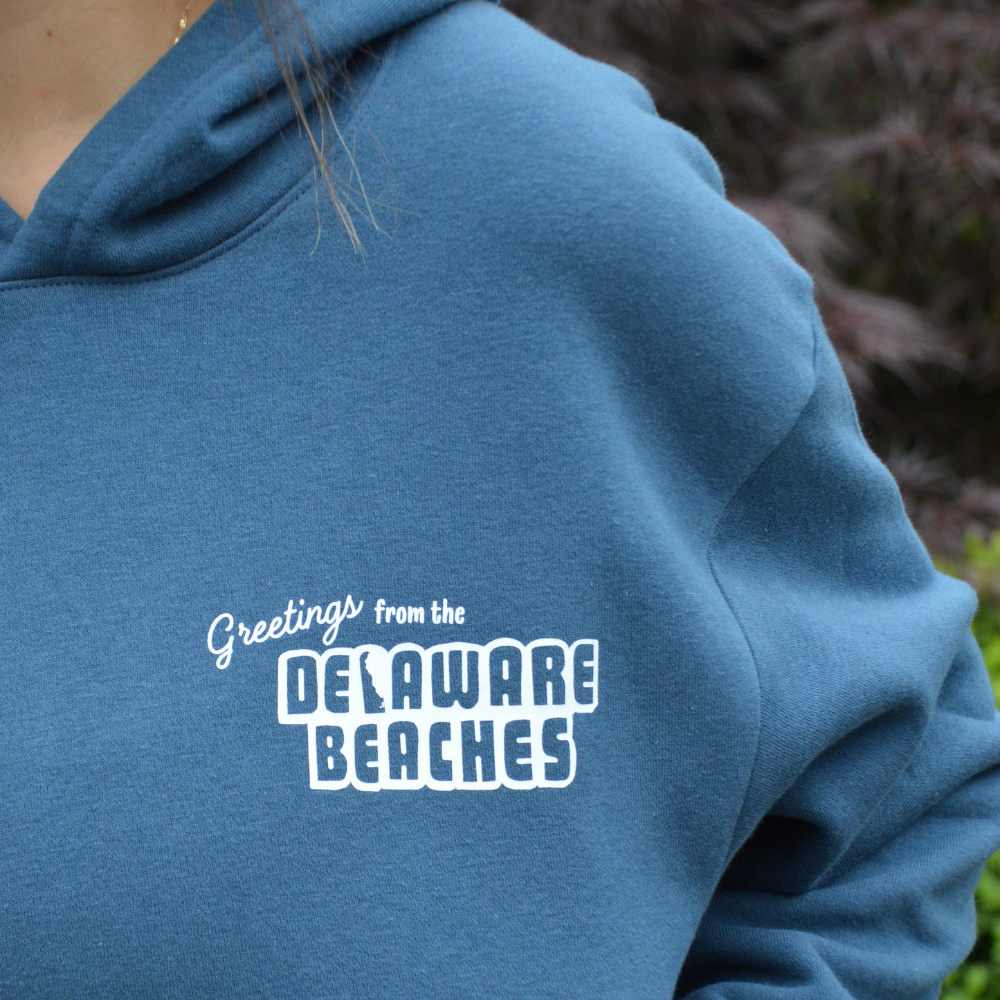 Delaware Beaches | "Greetings From" Hoodie